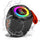 Portable Bluetooth Speaker with Lights, Powerful Crystal Clear Sound, IPX4 Waterproof, All Day Playtime, BT5.3, TWS Paring,